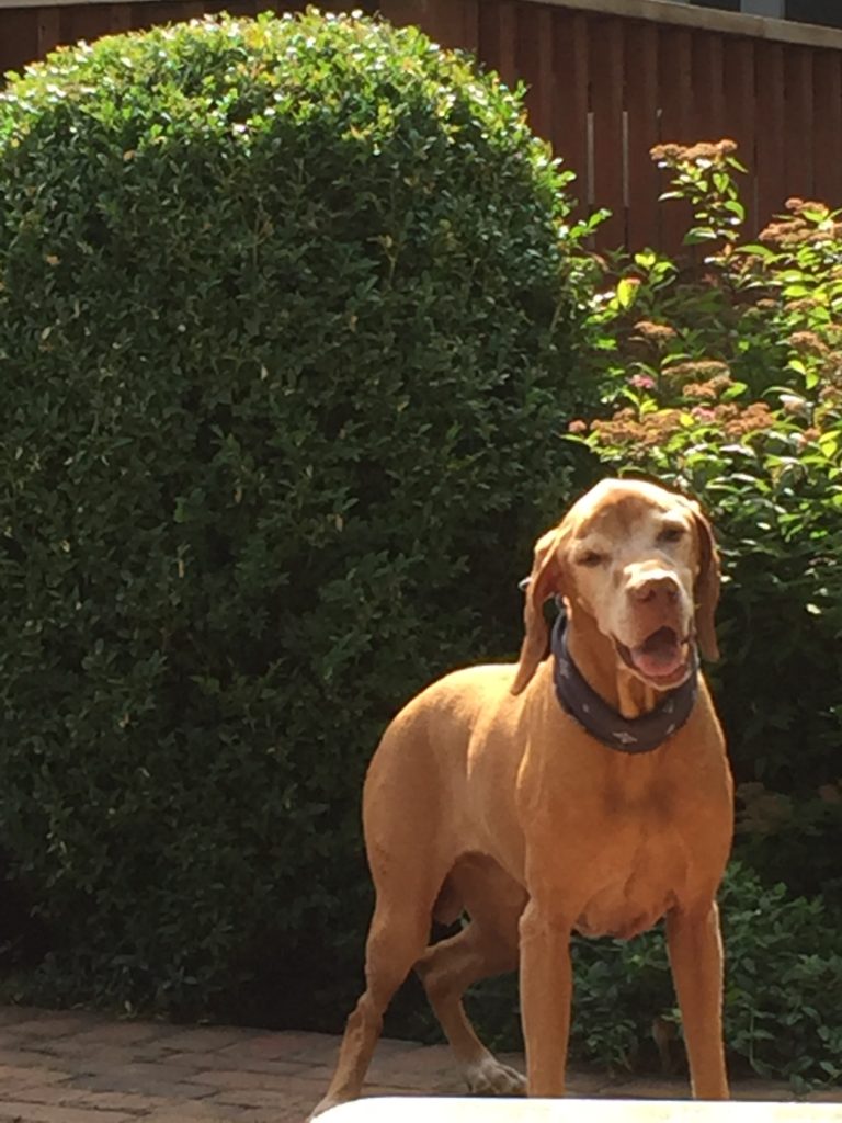 Photo of Henry....just because!!!